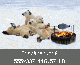 Eisbären.gif