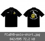 FCuBVB-polo-shirt.jpg