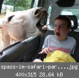 spass-im-safari-park-1186485066.jpg