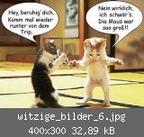 witzige_bilder_6.jpg
